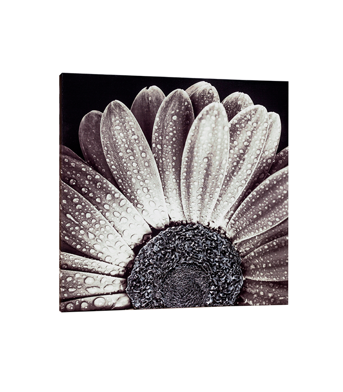 Панно, картина PINTDECOR BLACK DAISY P4752