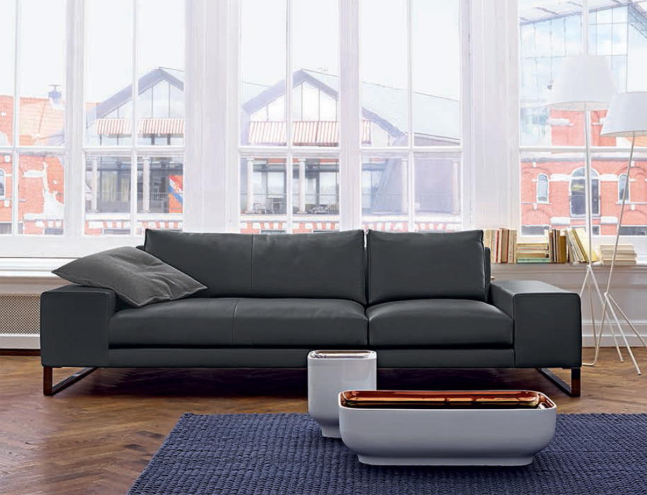 Диван LIGNE ROSET EXCLUSIF 10002966
