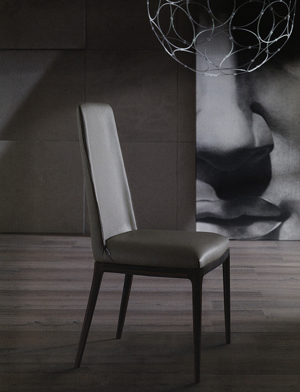Стул OZZIO DESIGN POP S331